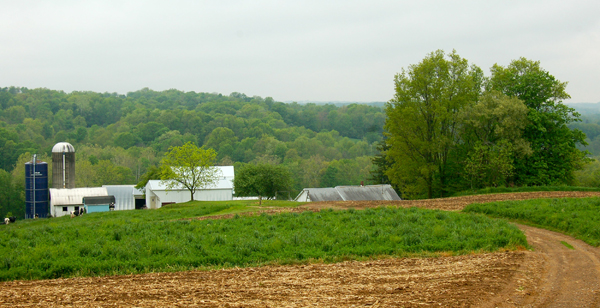 Hershberger farm