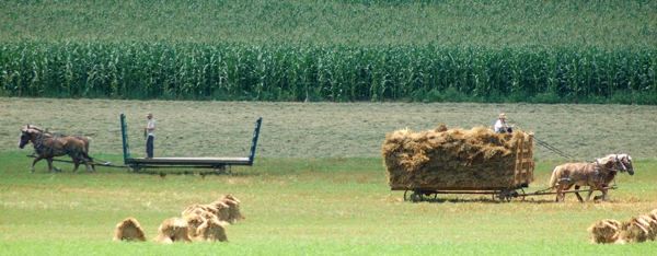 Coming and going by Bruce Stamabugh