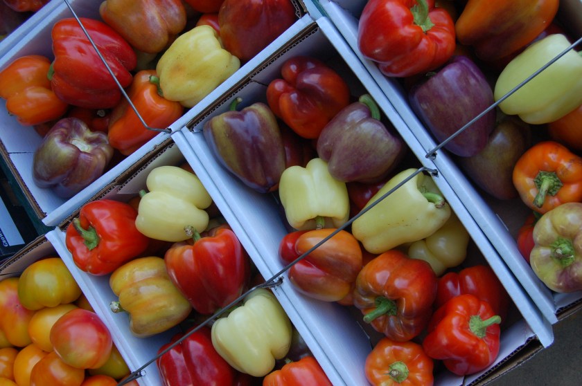 Mixed peppers by Bruce Stambaugh