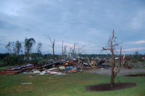 Debris and stripped trees at the OARDC by Bruce Stambaugh