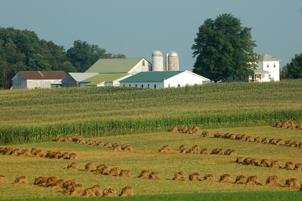 Amish farm Ohio by Bruce Stambaugh