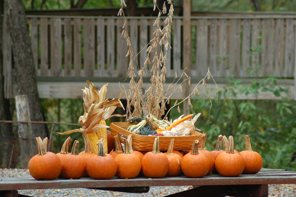 Fall display of pumpkins by Bruce Stambaugh