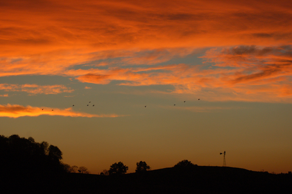 Fall sunset with geese by Bruce Stambaugh
