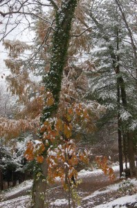 Snowy scene by Bruce Stambaugh