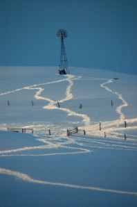Tracks in the snow by Bruce Stambaugh