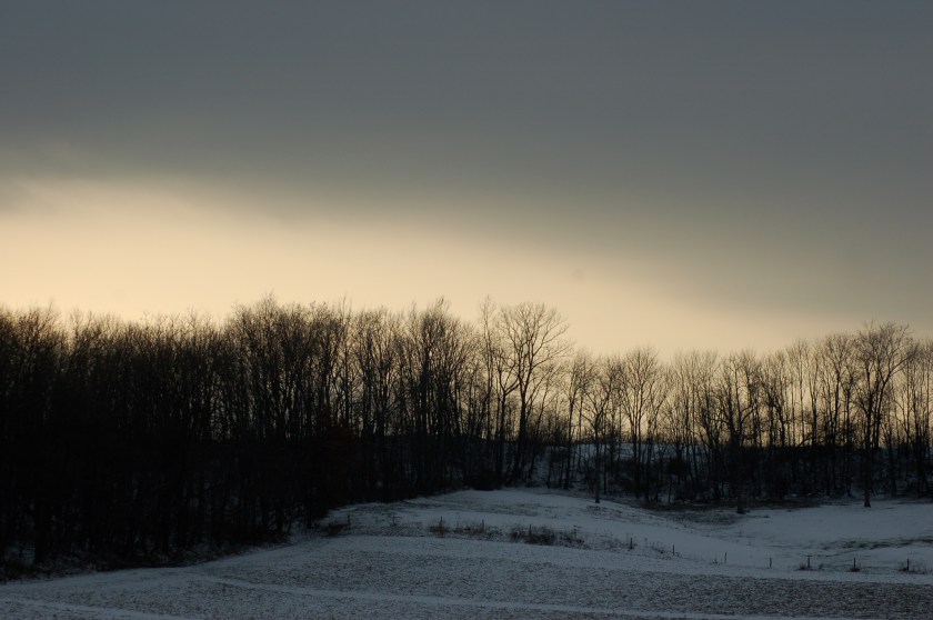 Treelined pasture by Bruce Stambaugh