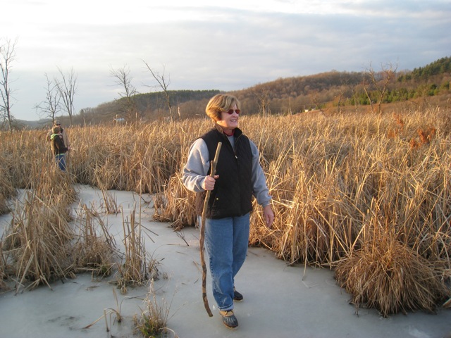 swamp walk by Bruce Stambaugh