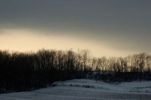 Woods edge by Bruce Stambaugh