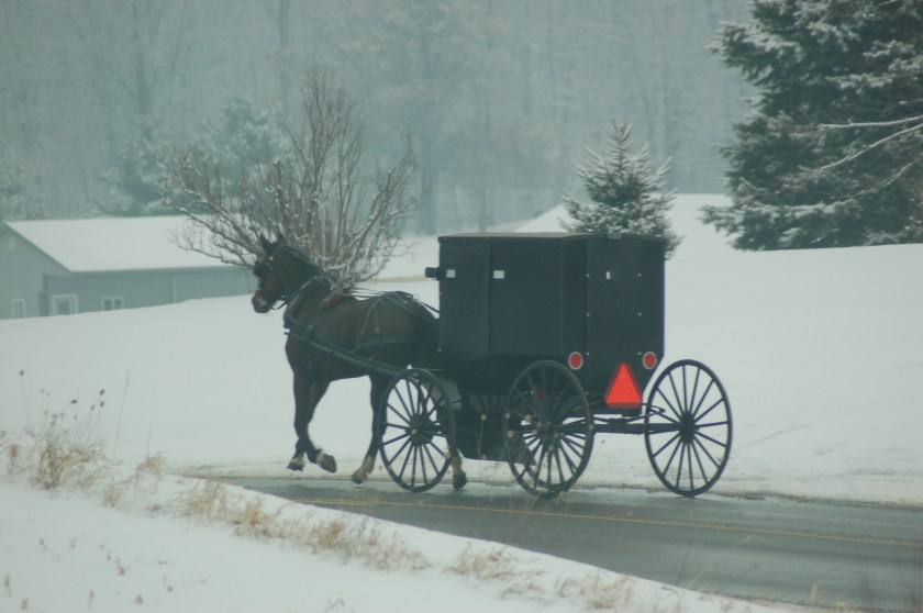 buggyandsnowbybrucestambaugh