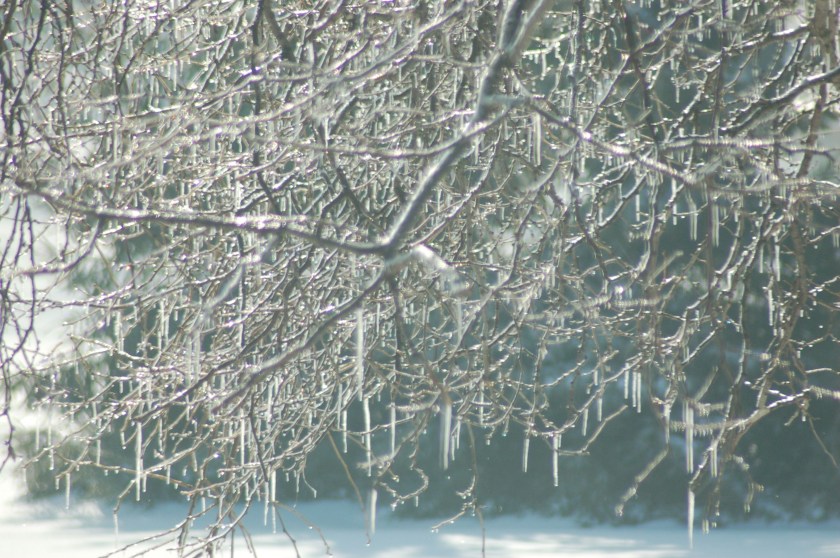 Ice sparkles by Bruce Stambaugh