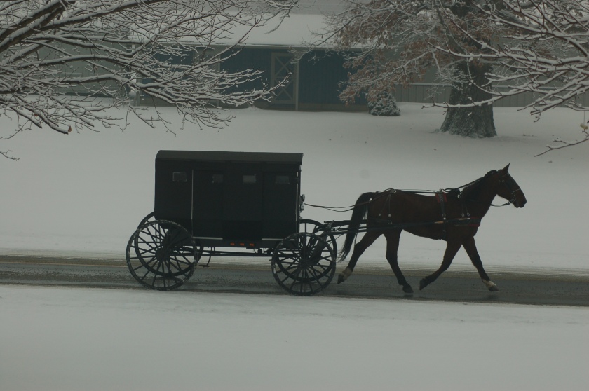 Horse and buggy on CR 201 by Bruce Stambaugh