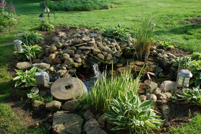 Garden pond by Bruce Stambaugh