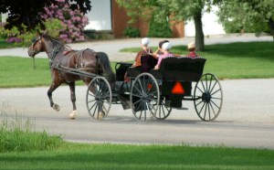 Open buggy by Bruce Stambaugh