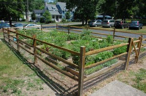Lakeside community garden by Bruce Stambaugh