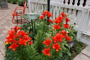 Bright lilies by Bruce Stambaugh