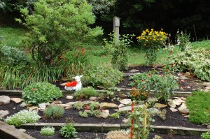 Rock garden by Bruce Stambaugh