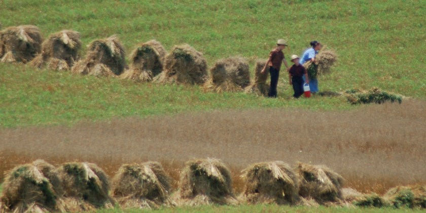 Hard work by Bruce Stambaugh