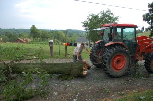 Helping hands by Bruce Stambaugh