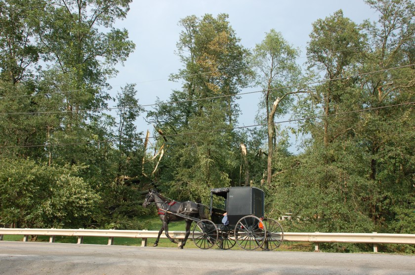 Buggy charm by Bruce Stambaugh