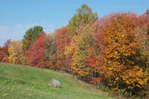 Rainbow of colors by Bruce Stambaugh