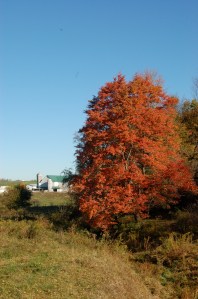 Fall farm by Bruce Stambaugh