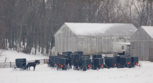 Church buggies by Bruce Stambaugh