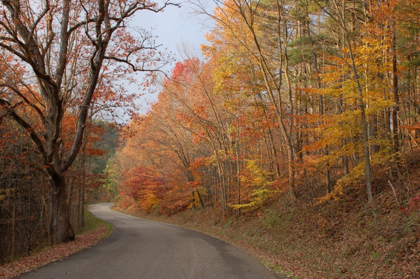 Fall lane by Bruce Stambaugh