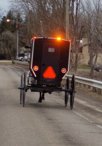 Visible buggy by Bruce Stambaugh