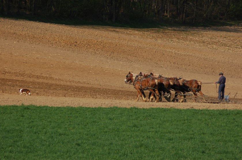 Spring plowing by Bruce Stambaugh