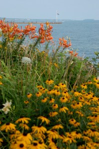 Lakeside flowers by Bruce Stambaugh