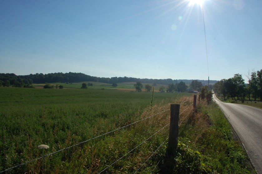 Sunny walk by Bruce Stambaugh