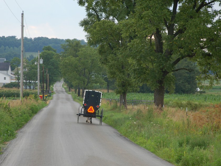 Buggy by Bruce Stambaugh