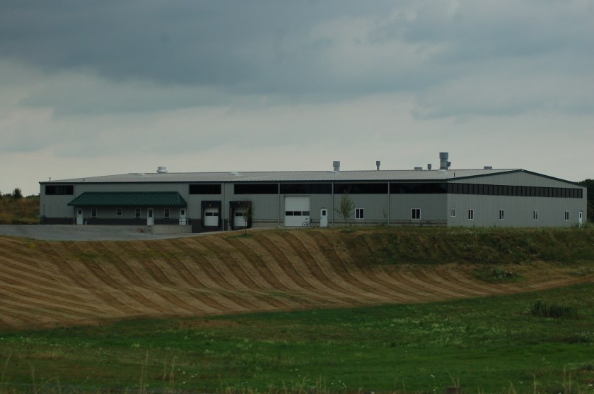 Brown lawn by Bruce Stambaugh