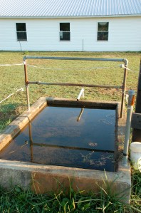 Artesian well by Bruce Stambaugh