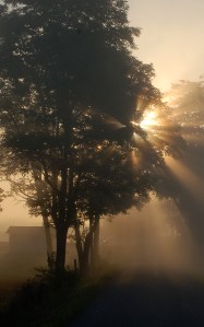 Light rays by Bruce Stambaugh