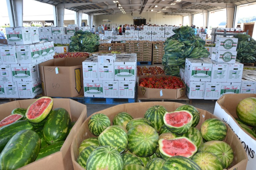 Loads of produce by Bruce Stambaugh