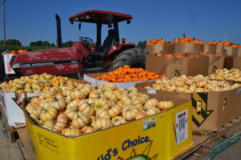 Double rows by Bruce Stambaugh