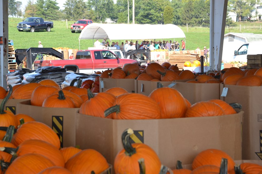 Two auctions by Bruce Stambaugh