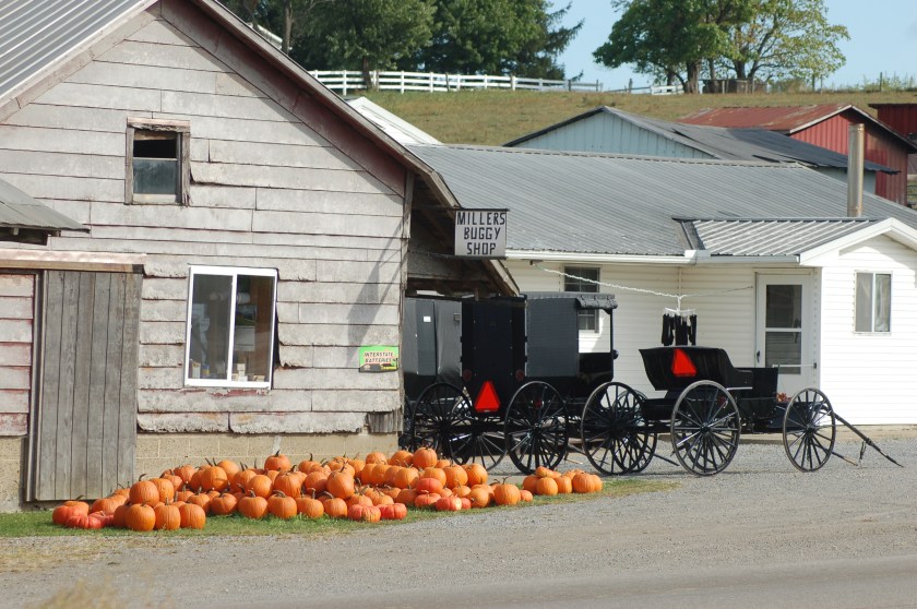Pumpkins and buggies by Bruce Stambaugh