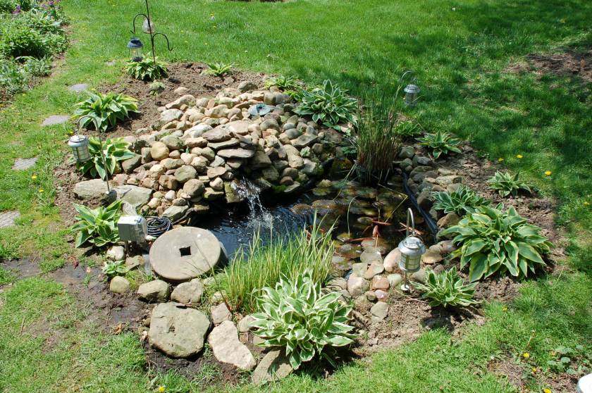 Garden pond by Bruce Stambaugh