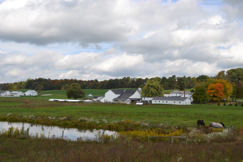 Fall sky by Bruce Stambaugh