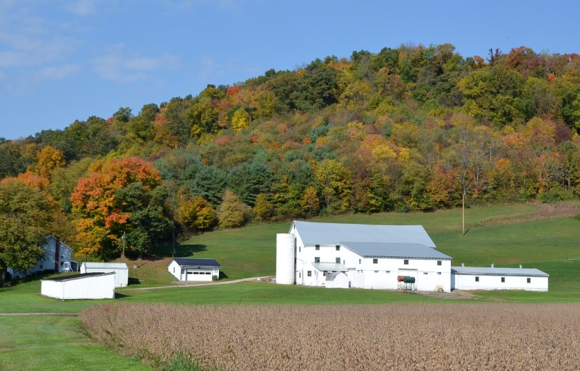 White farm by Bruce Stambaugh