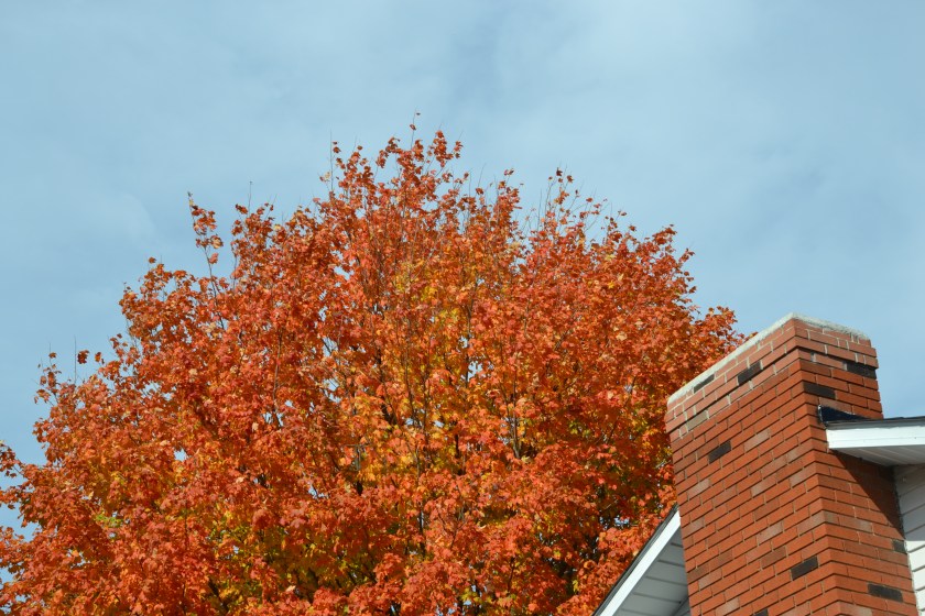 Over the top by Bruce Stambaugh