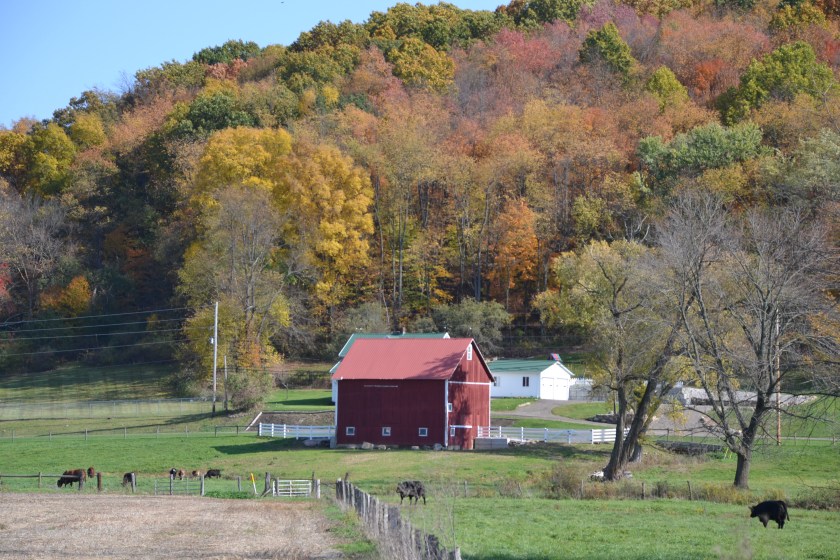 redbarnbybrucestambaugh