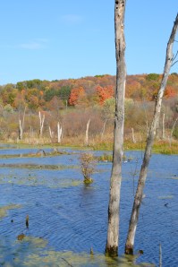 lovelyscenerybybrucestambaugh