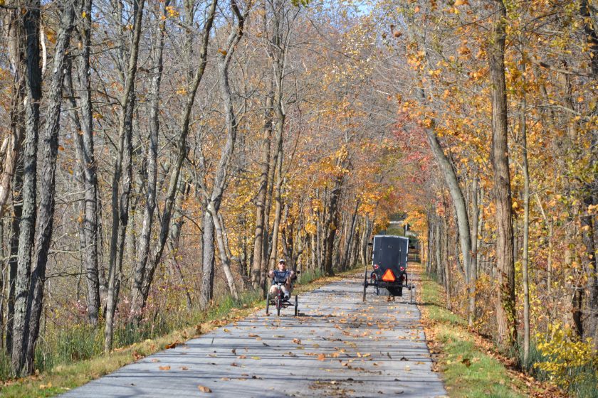 fallonthetrailbybrucestambaugh