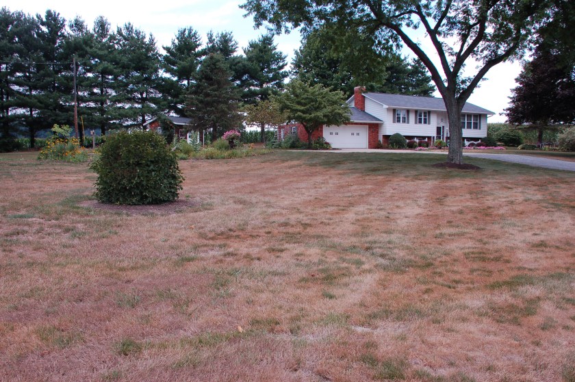 droughtbybrucestambaugh