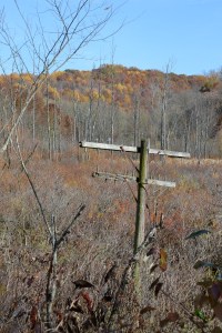 telegraphpolebybrucestambaugh