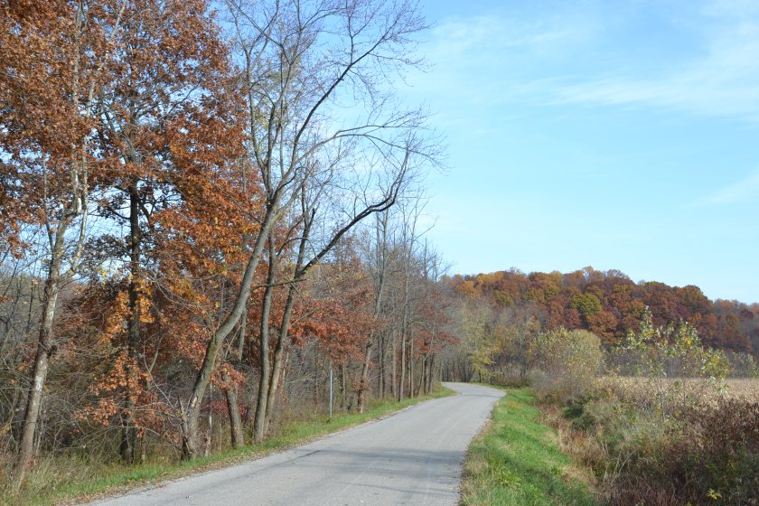 levelridebybrucestambaugh