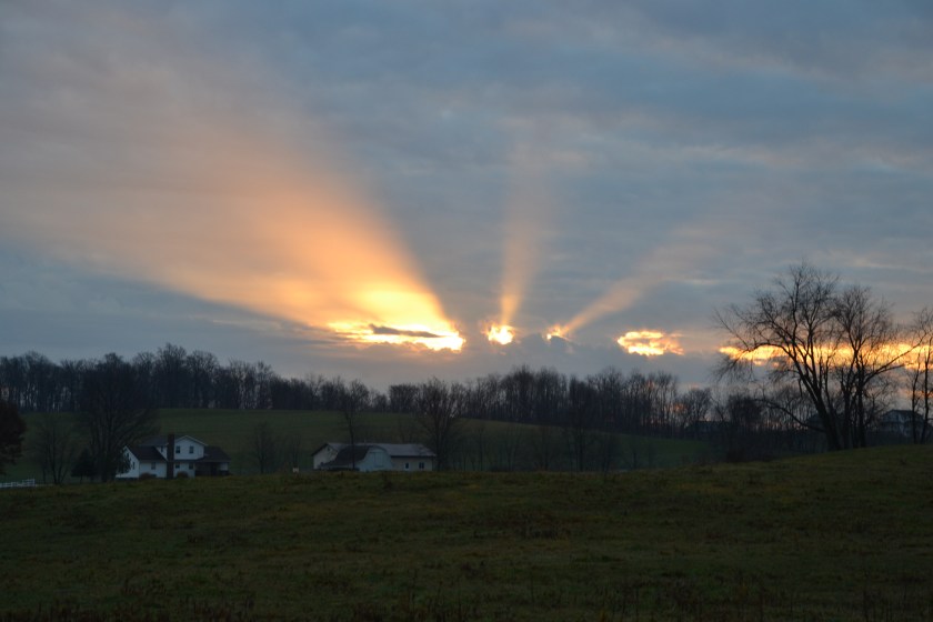 raysofbeautybybrucestambaugh